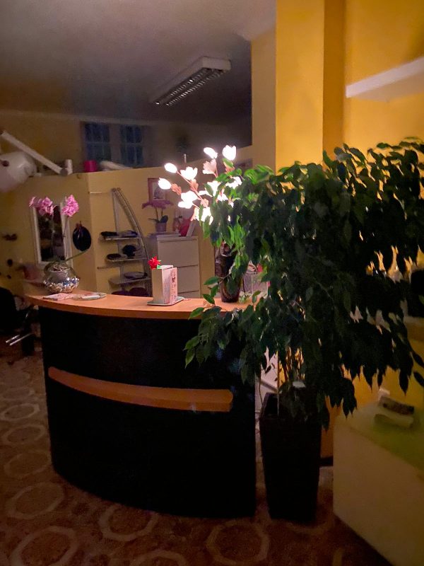 33b1b13a-da52-426d-9dea-e03220521cea