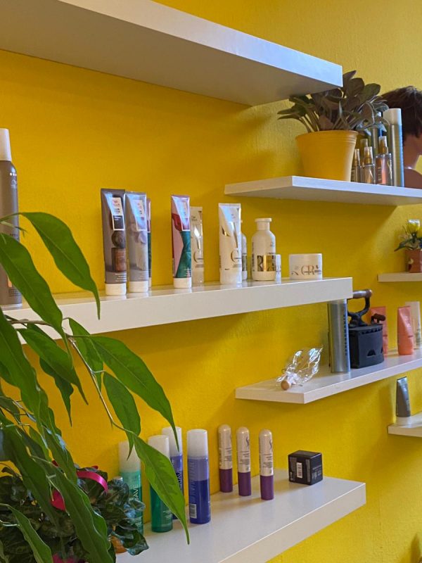 5e58e599-4982-4f03-b566-96aa5aaff548