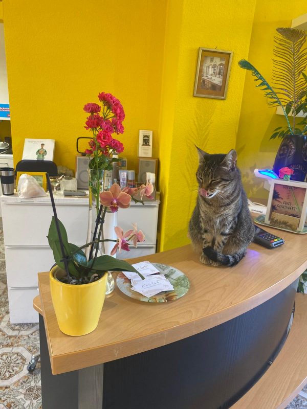 PHOTO-2025-07-27-22-48-05