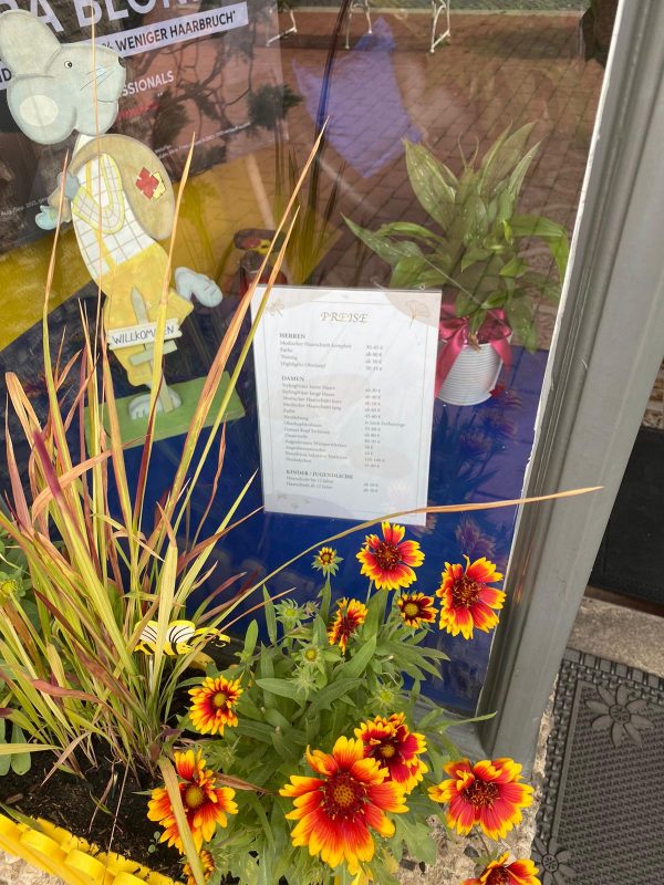 eb0d3d55-810e-4aa4-b9f3-d4c26fbf6e6a